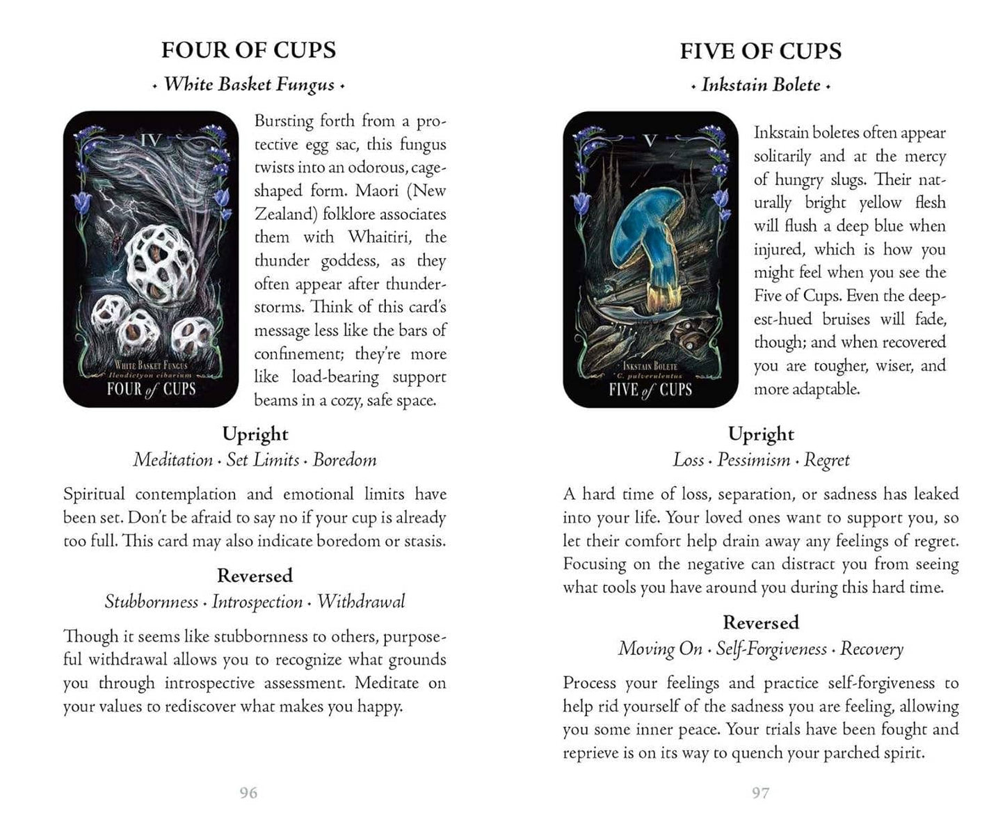 Midnight Magic Tarot Cards Adams Media