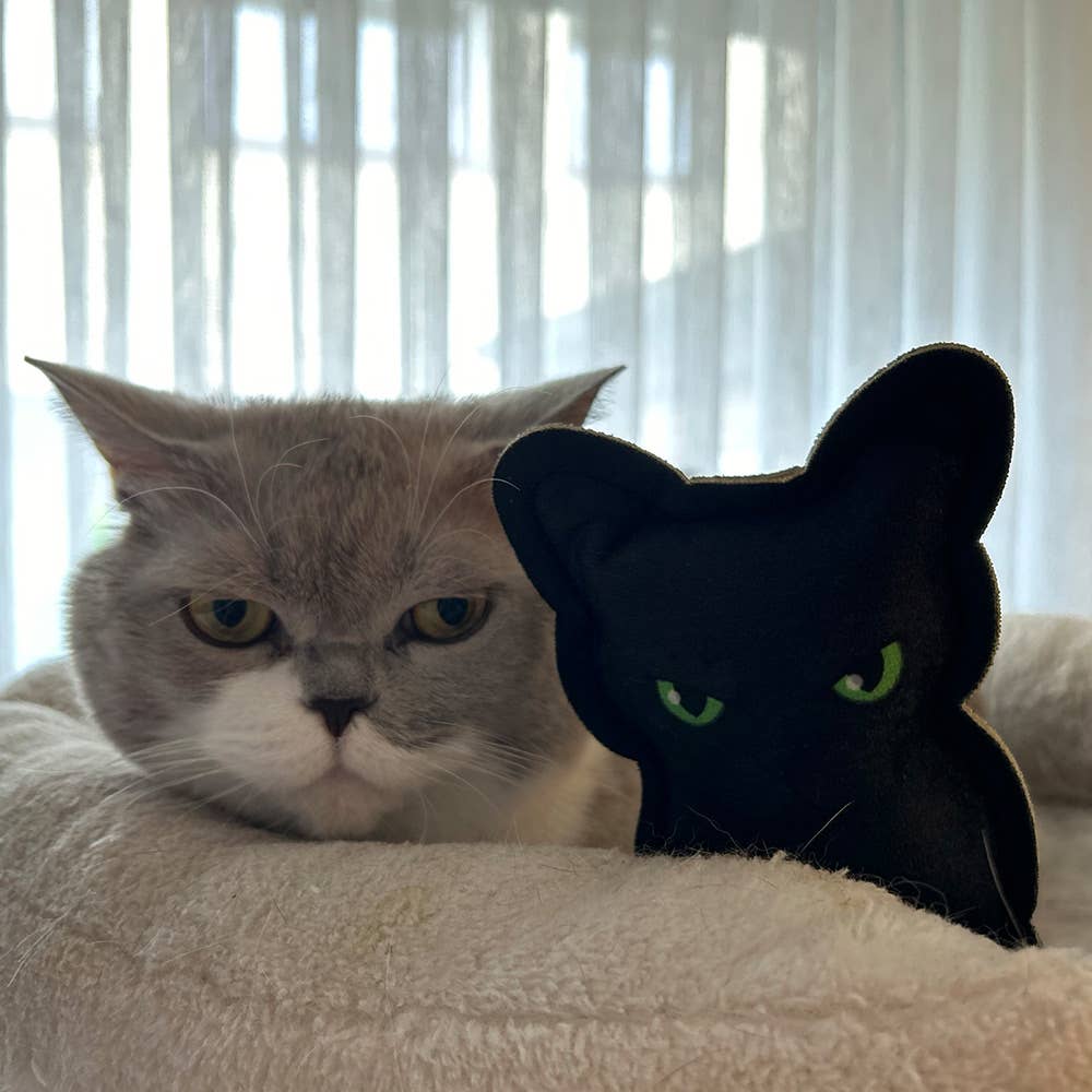 4cats Halloween Black Cat