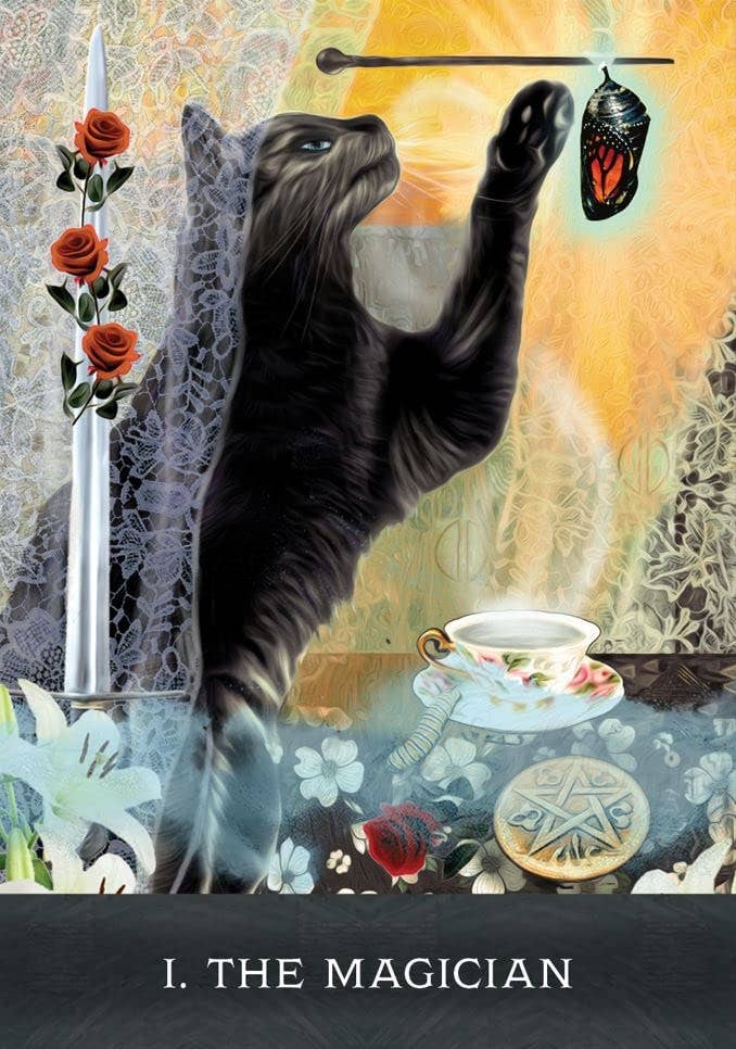 Curious Cats Tarot