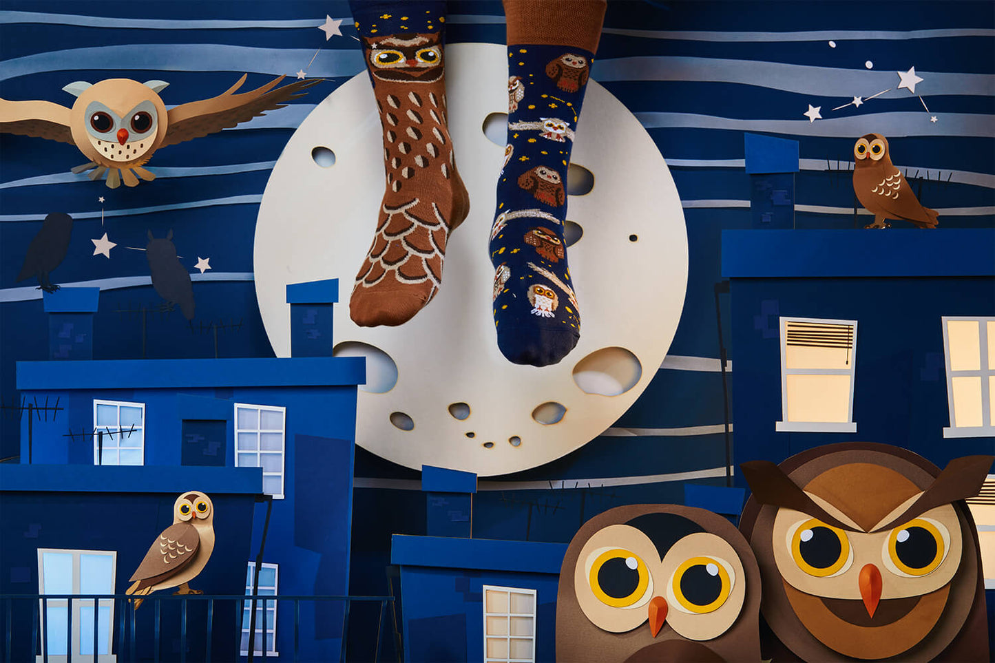 Owly Moly