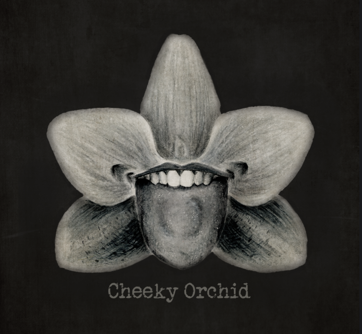 Cheeky Orchid