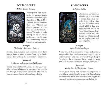 Midnight Magic Tarot Cards Adams Media