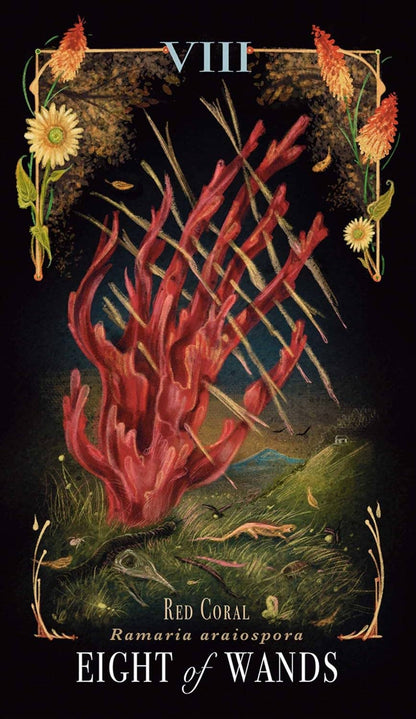 Midnight Magic Tarot Cards Adams Media