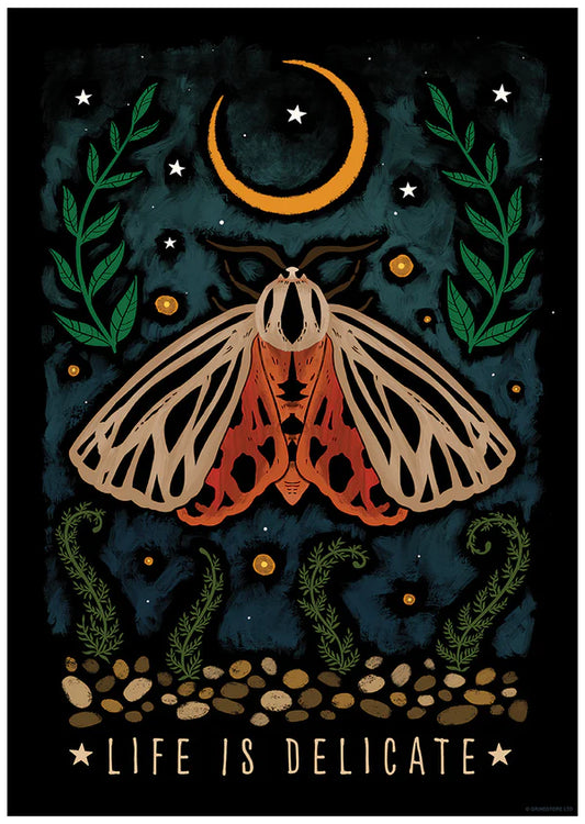 Life Is Delicate Poster