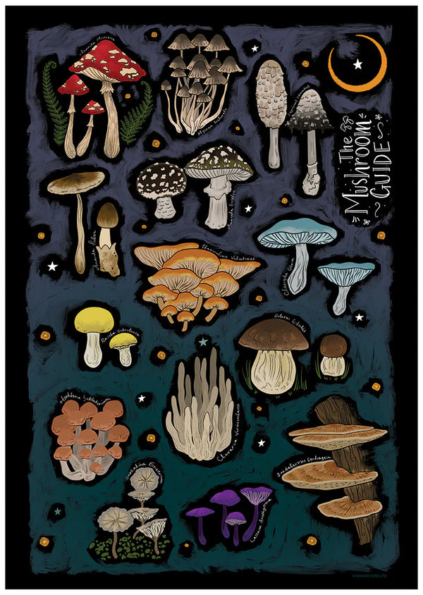 The Mushroom Guide Poster