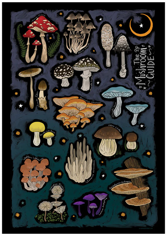 The Mushroom Guide Poster