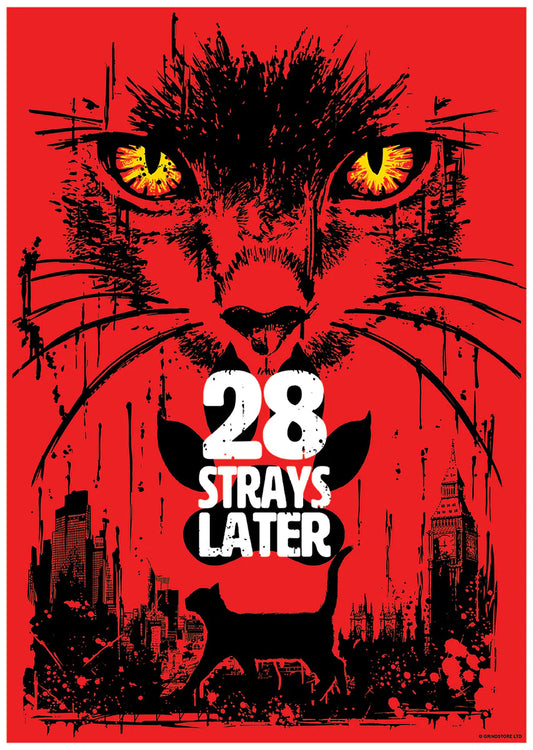 28 Strays Later Poster
