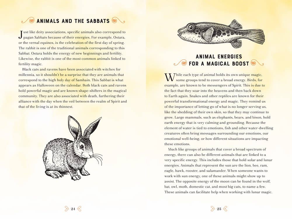 Animal Magic: A Handbook Of Mystical Energies