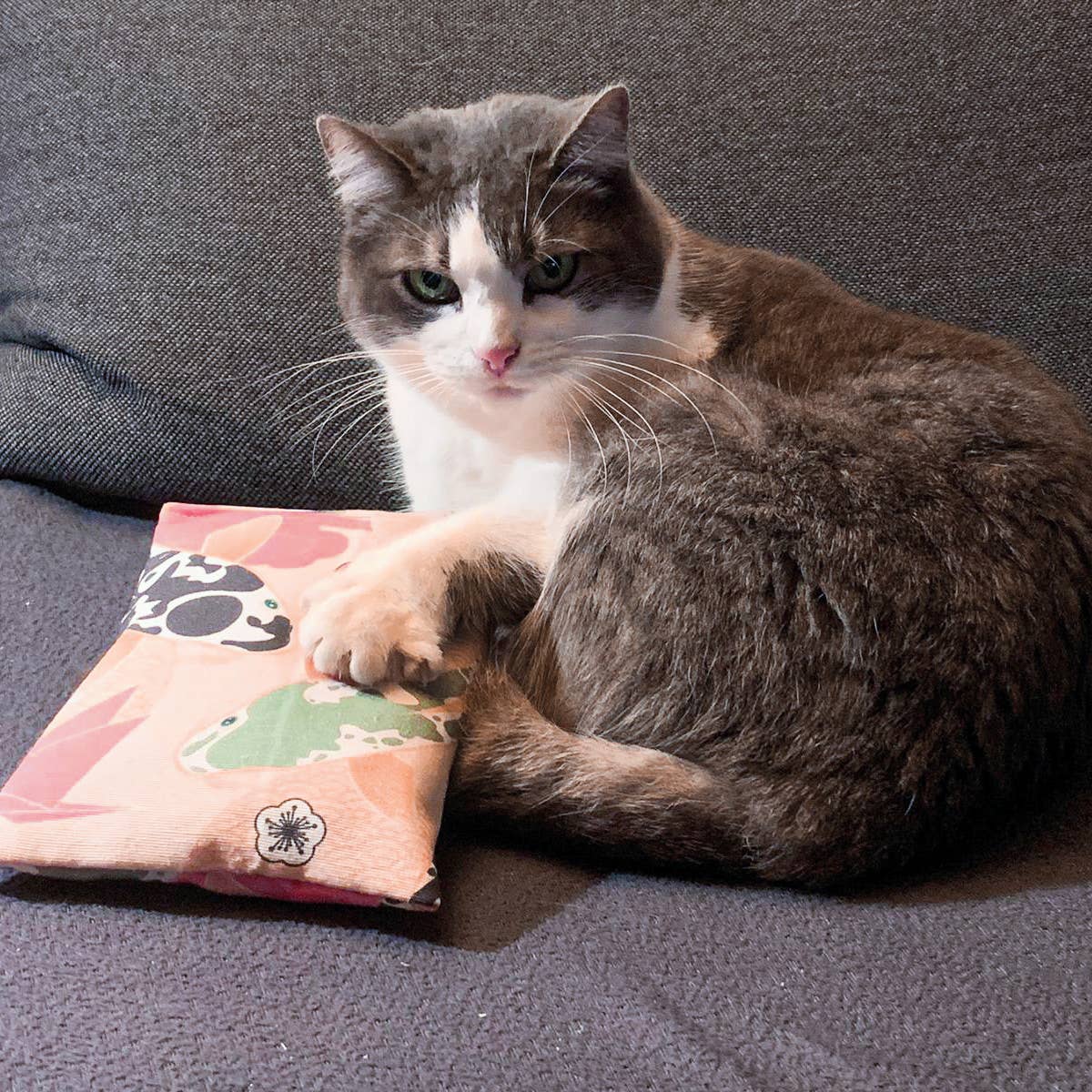 4cats Japan Collection Rustling Cushion