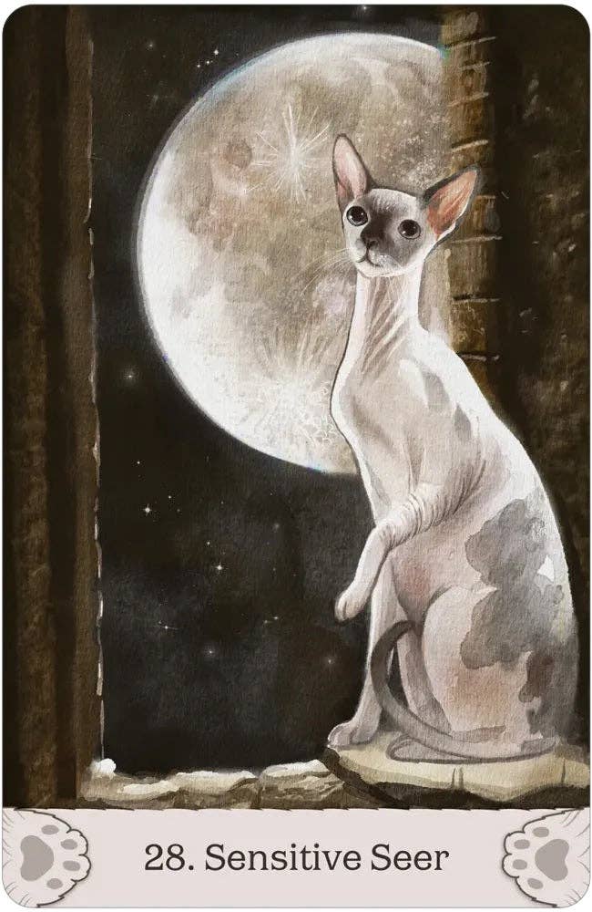 Cat Mythos & Magick Oracle Deck US Games Systems