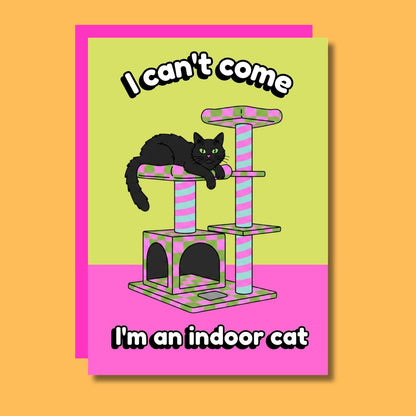 I'm An Indoor Cat