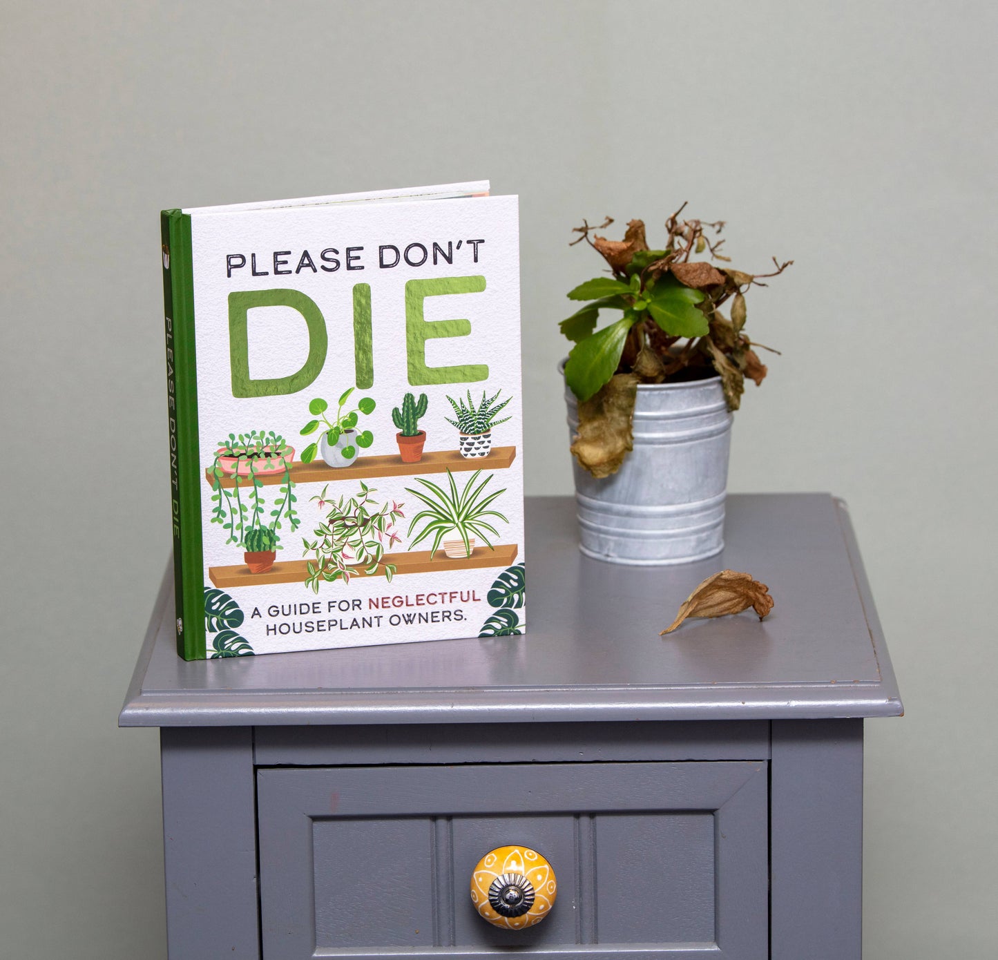 Please Don't Die - Houseplants Guide Book
