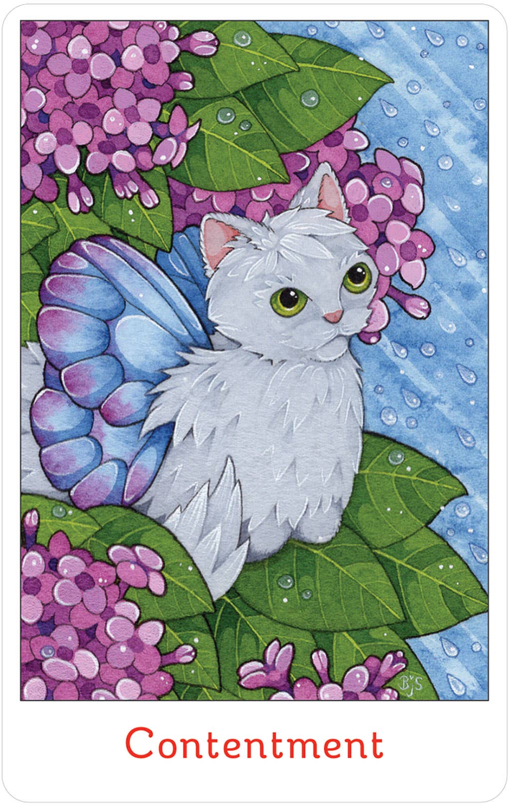 Affirmations Of The Fairy Cats