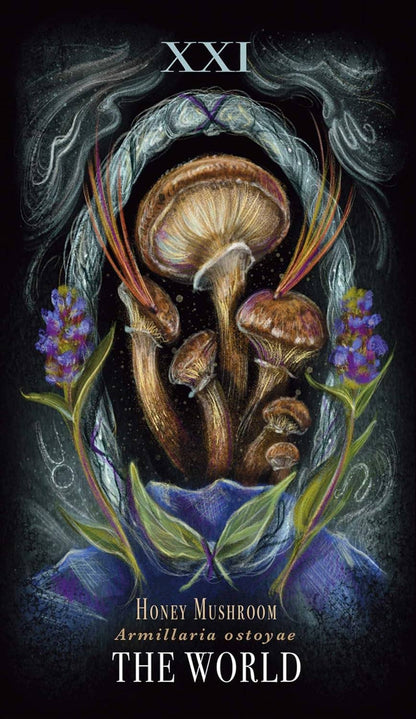 Midnight Magic Tarot Cards Adams Media