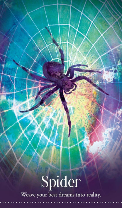 Wild Dreams Animal Oracle Cards Blue Angel