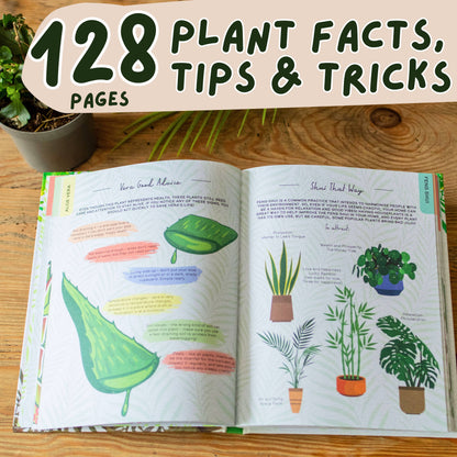 Please Don't Die - Houseplants Guide Book