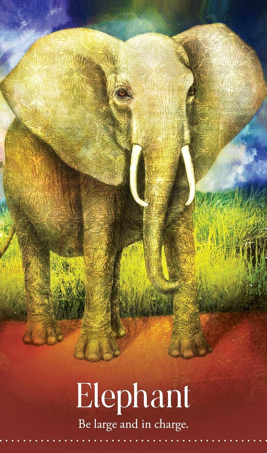 Wild Dreams Animal Oracle Cards Blue Angel
