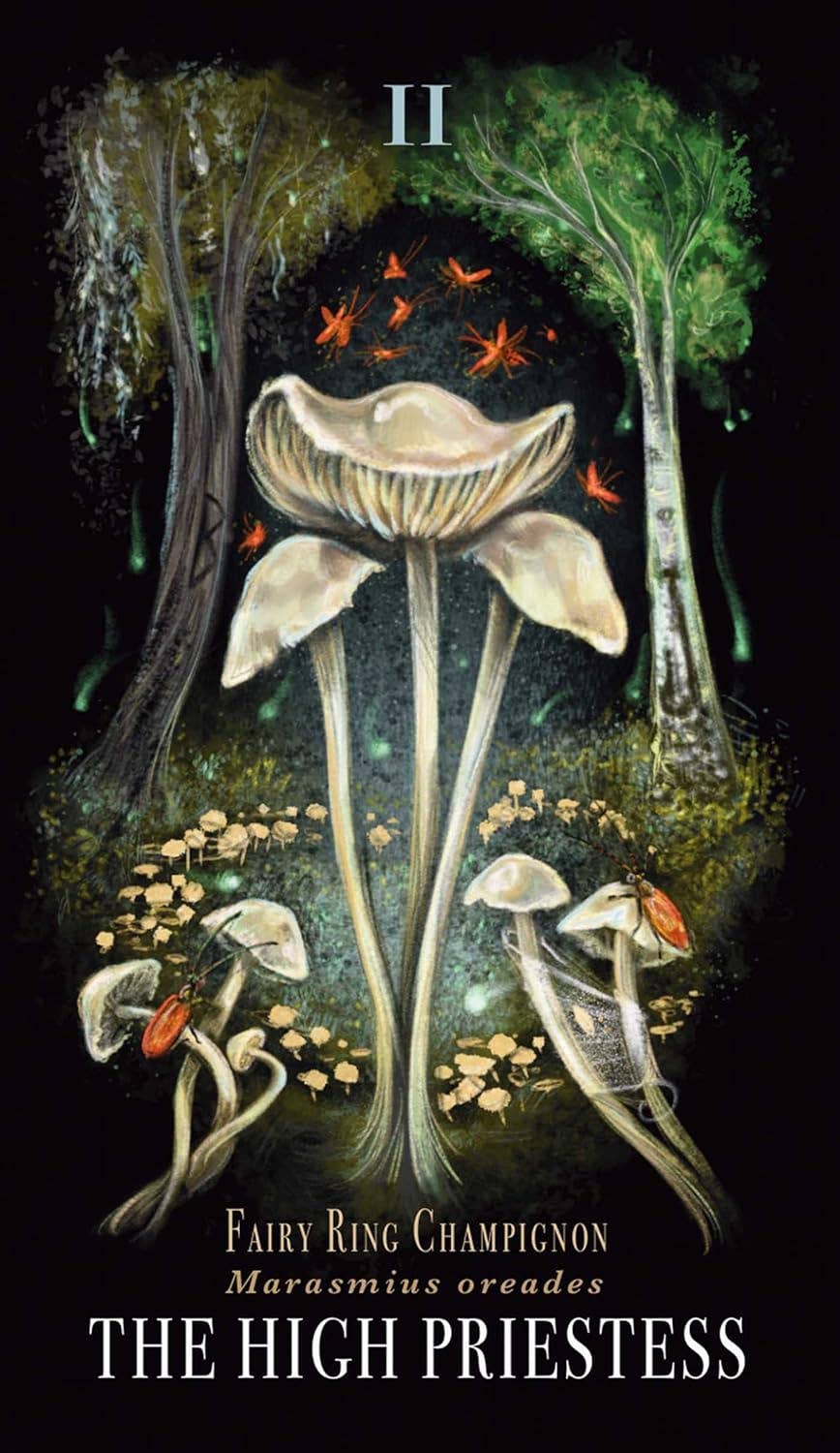 Midnight Magic Tarot Cards Adams Media