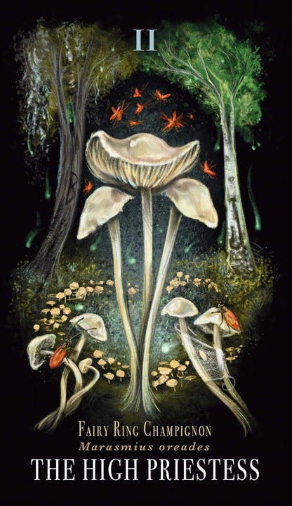 Midnight Magic Tarot Cards Adams Media