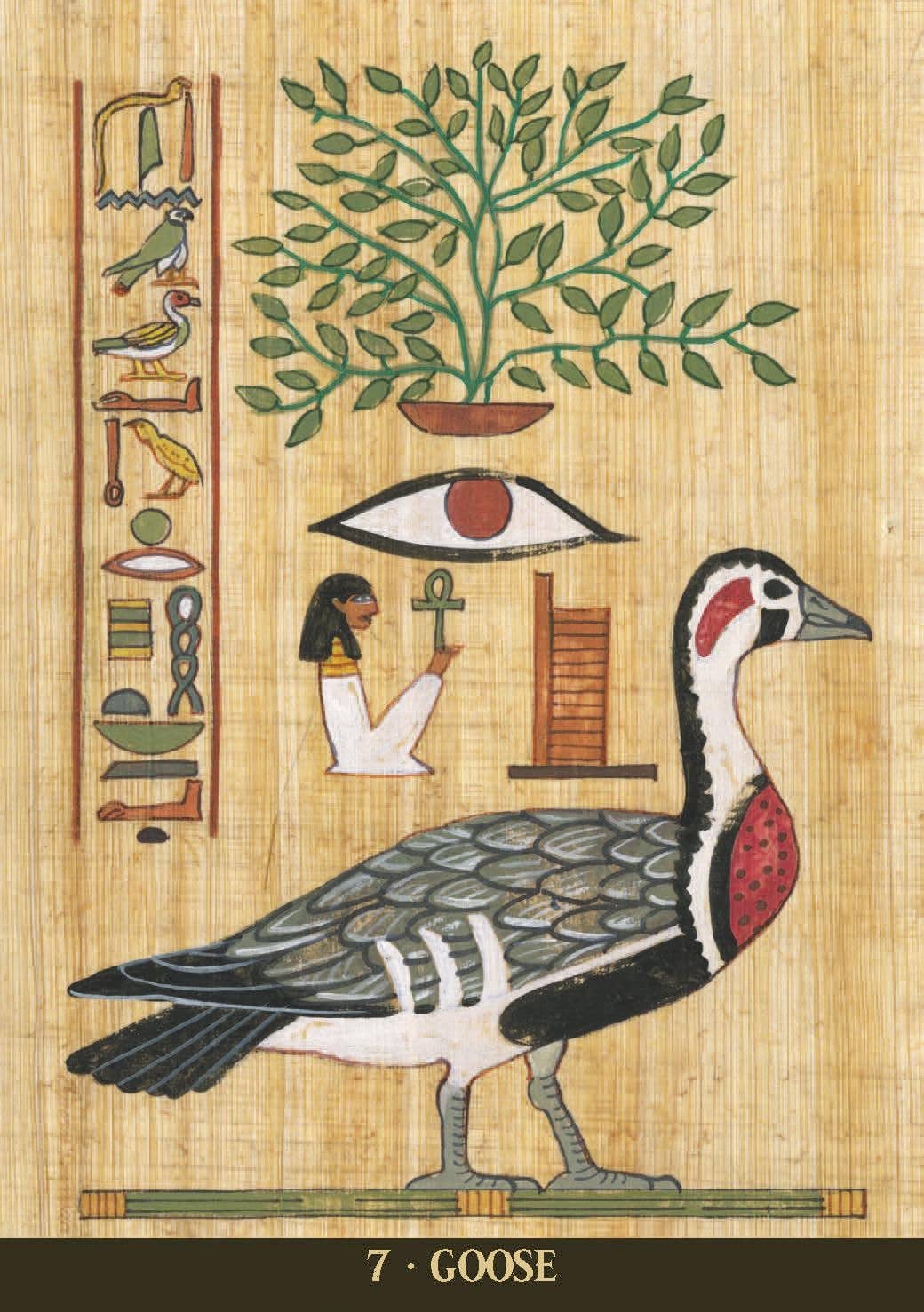 Egyptian Sacred Animals Oracle Lo Scarabeo