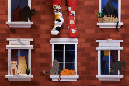 City Cat