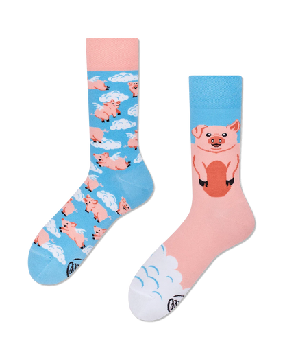 Piggy Dream