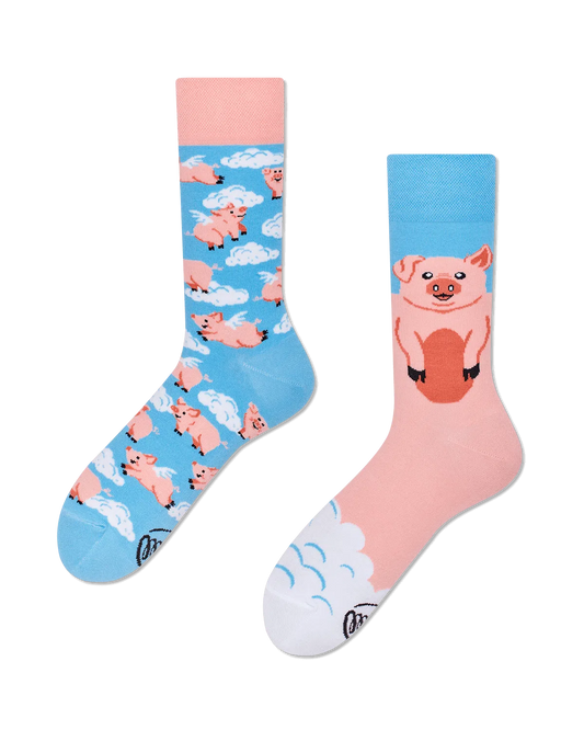 Piggy Dream