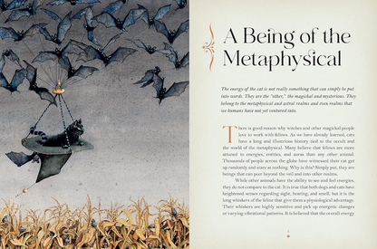 Cat Magick