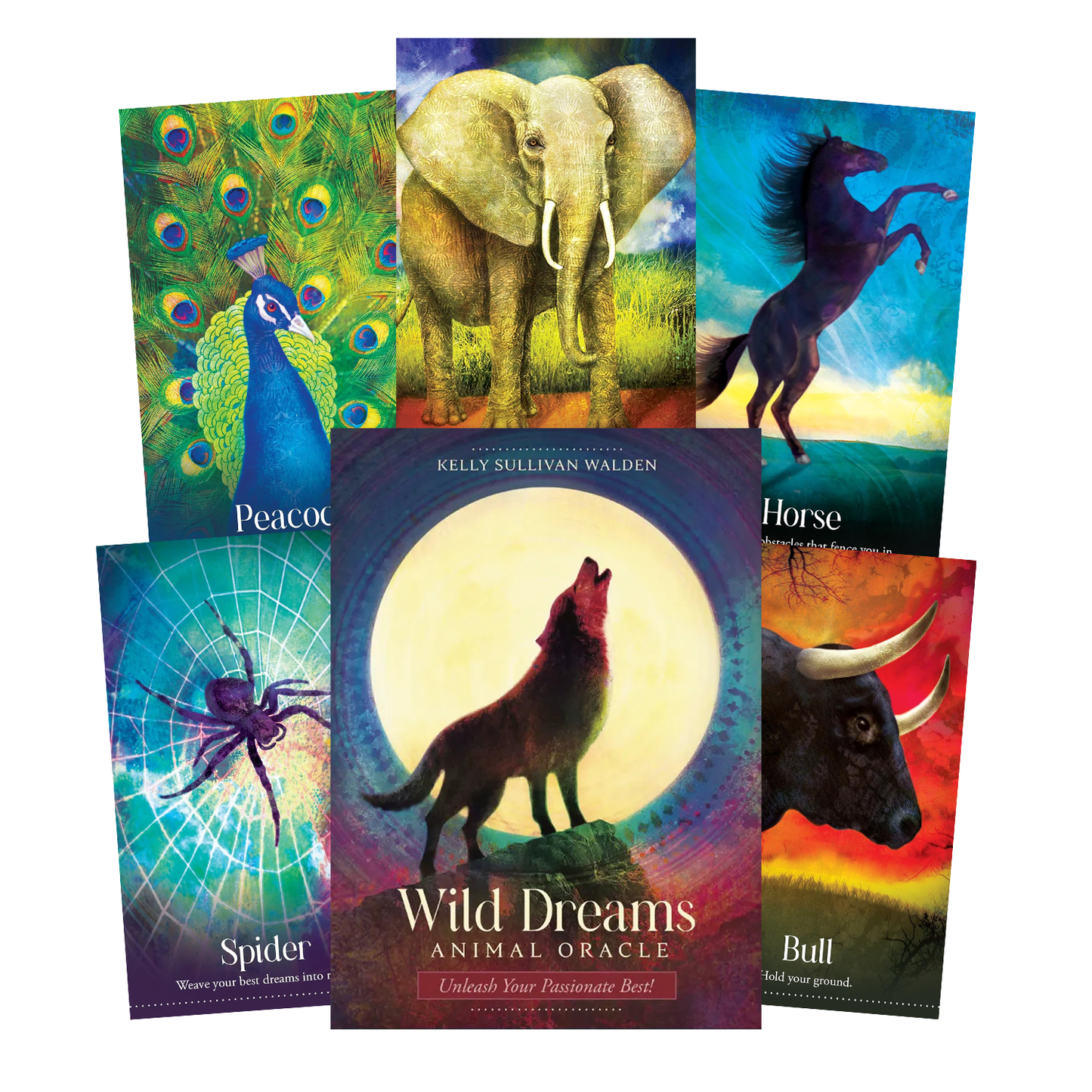 Wild Dreams Animal Oracle Cards Blue Angel
