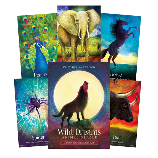 Wild Dreams Animal Oracle Cards Blue Angel