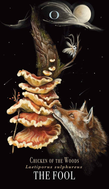 Midnight Magic Tarot Cards Adams Media