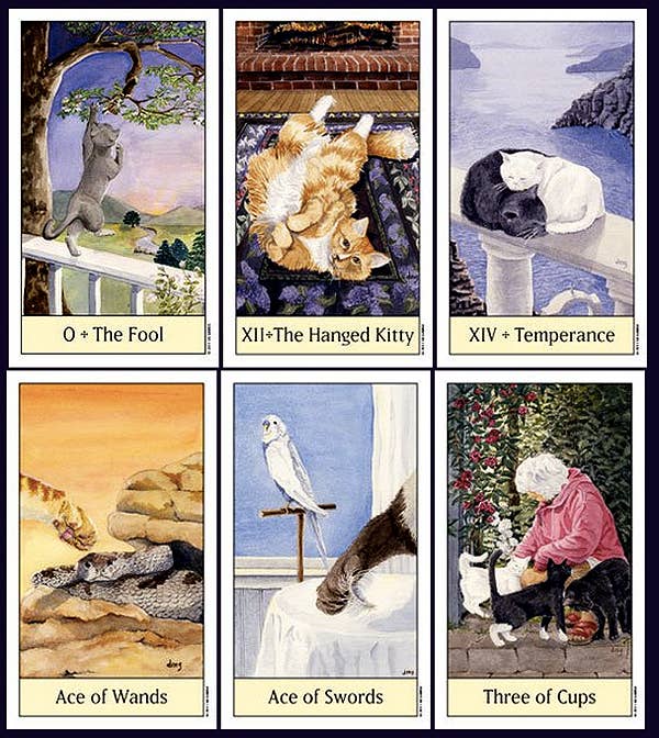 Cats Eye Tarot