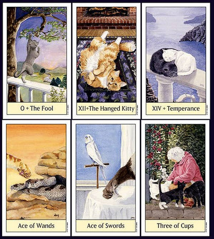 Cats Eye Tarot