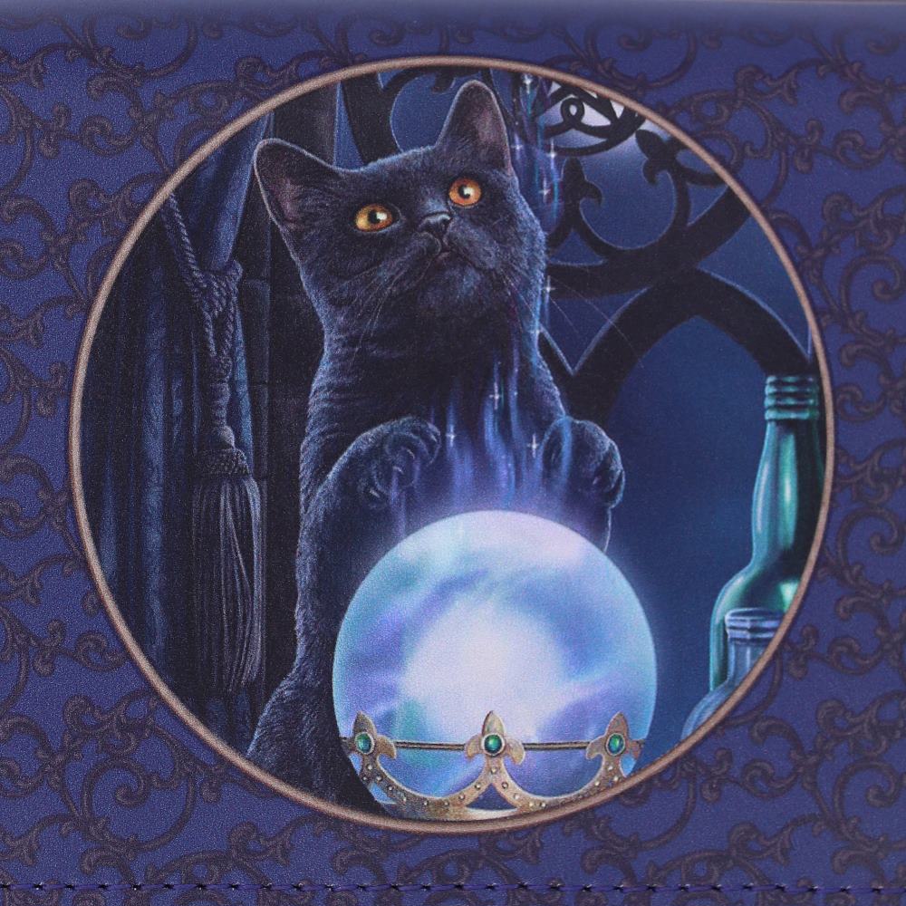 A Witches Apprentice