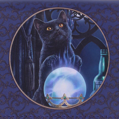 A Witches Apprentice