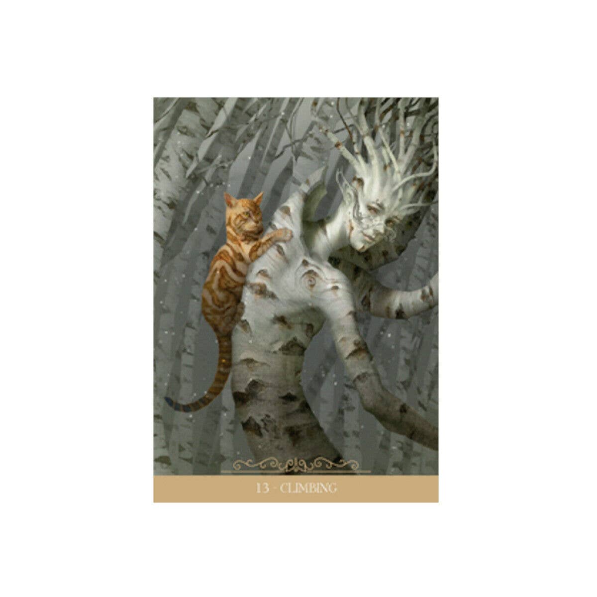Barbieri Fantasy Cats Oracle Cards Lo Scarabeo