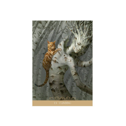 Barbieri Fantasy Cats Oracle Cards Lo Scarabeo