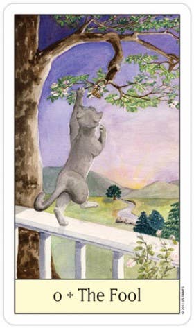 Cats Eye Tarot