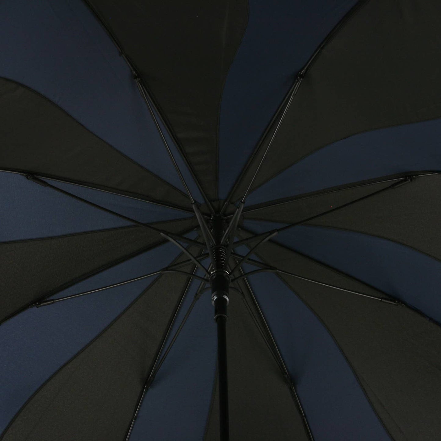 Blue and Black Swirl