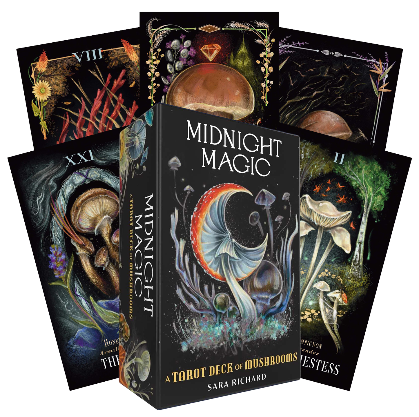 Midnight Magic Tarot Cards Adams Media