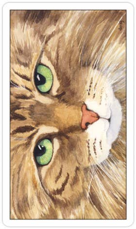 Cats Eye Tarot