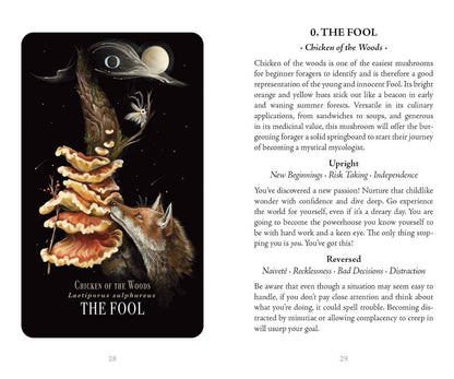 Midnight Magic Tarot Cards Adams Media