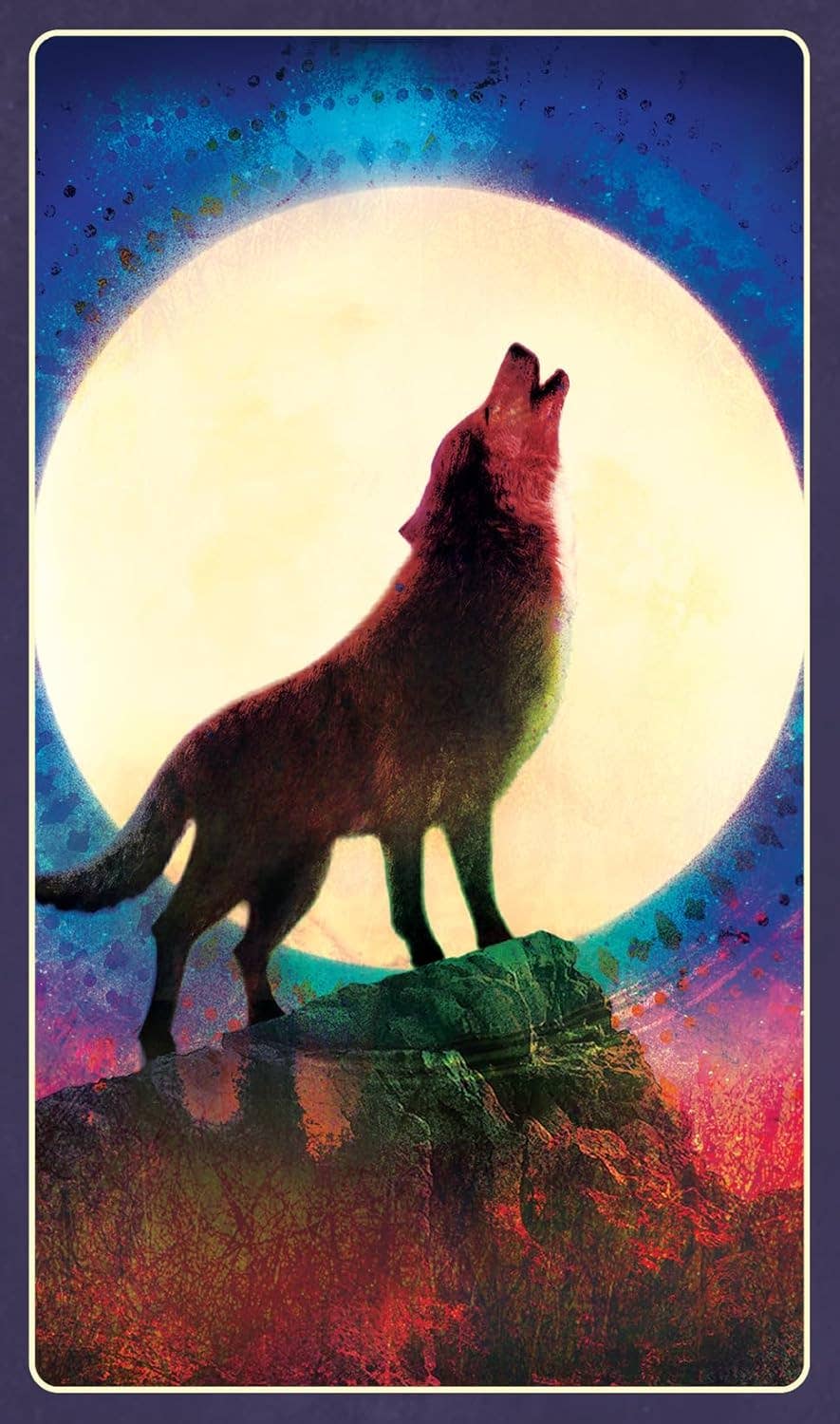 Wild Dreams Animal Oracle Cards Blue Angel
