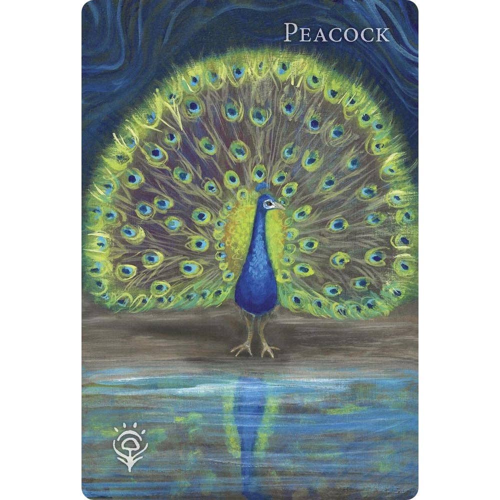 A Witch's Ally Oracle