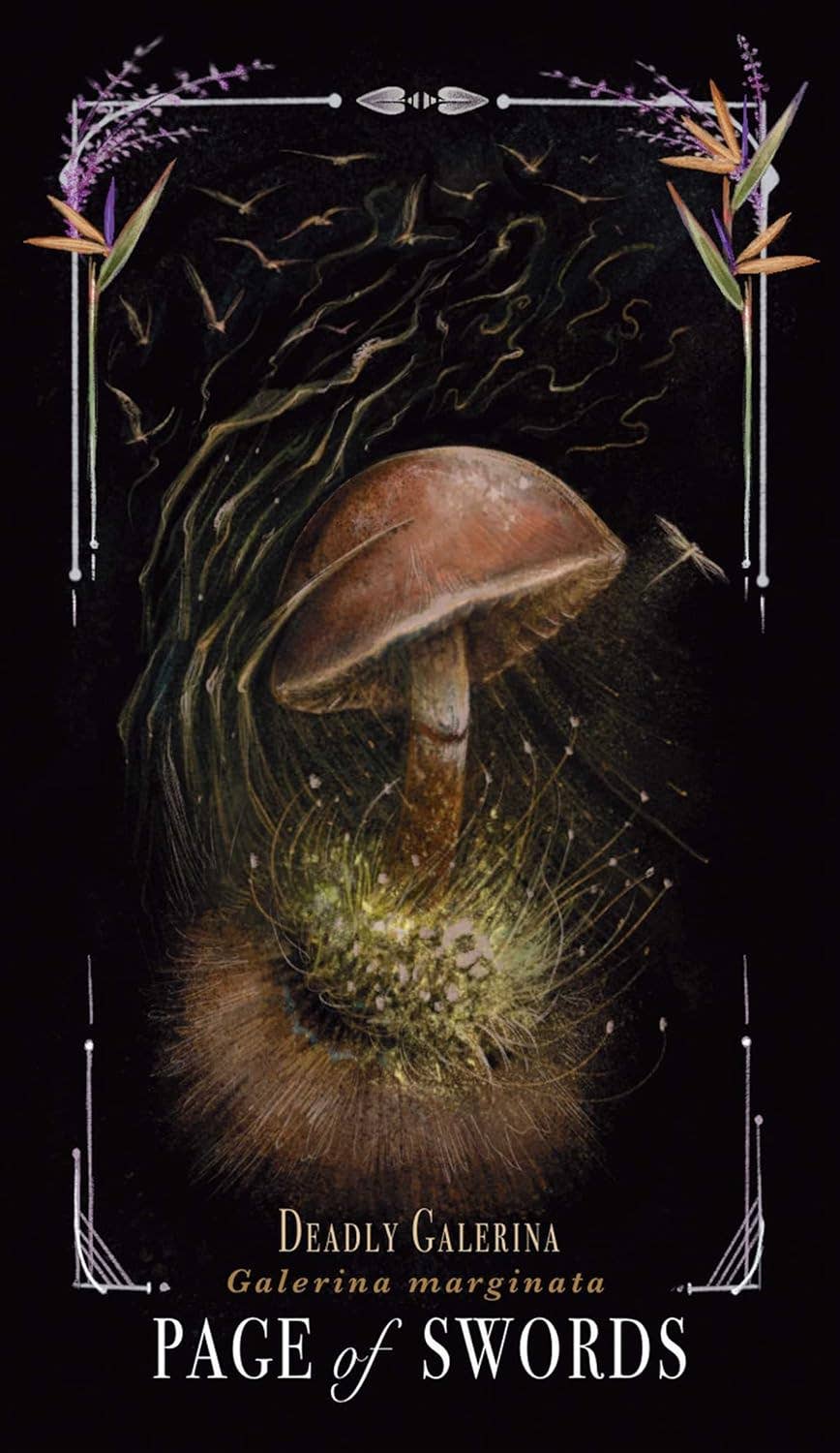 Midnight Magic Tarot Cards Adams Media