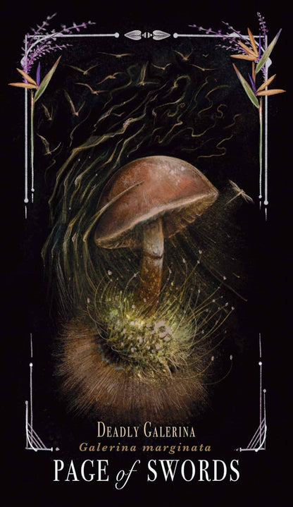 Midnight Magic Tarot Cards Adams Media