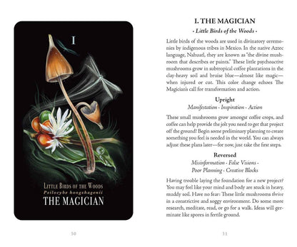 Midnight Magic Tarot Cards Adams Media