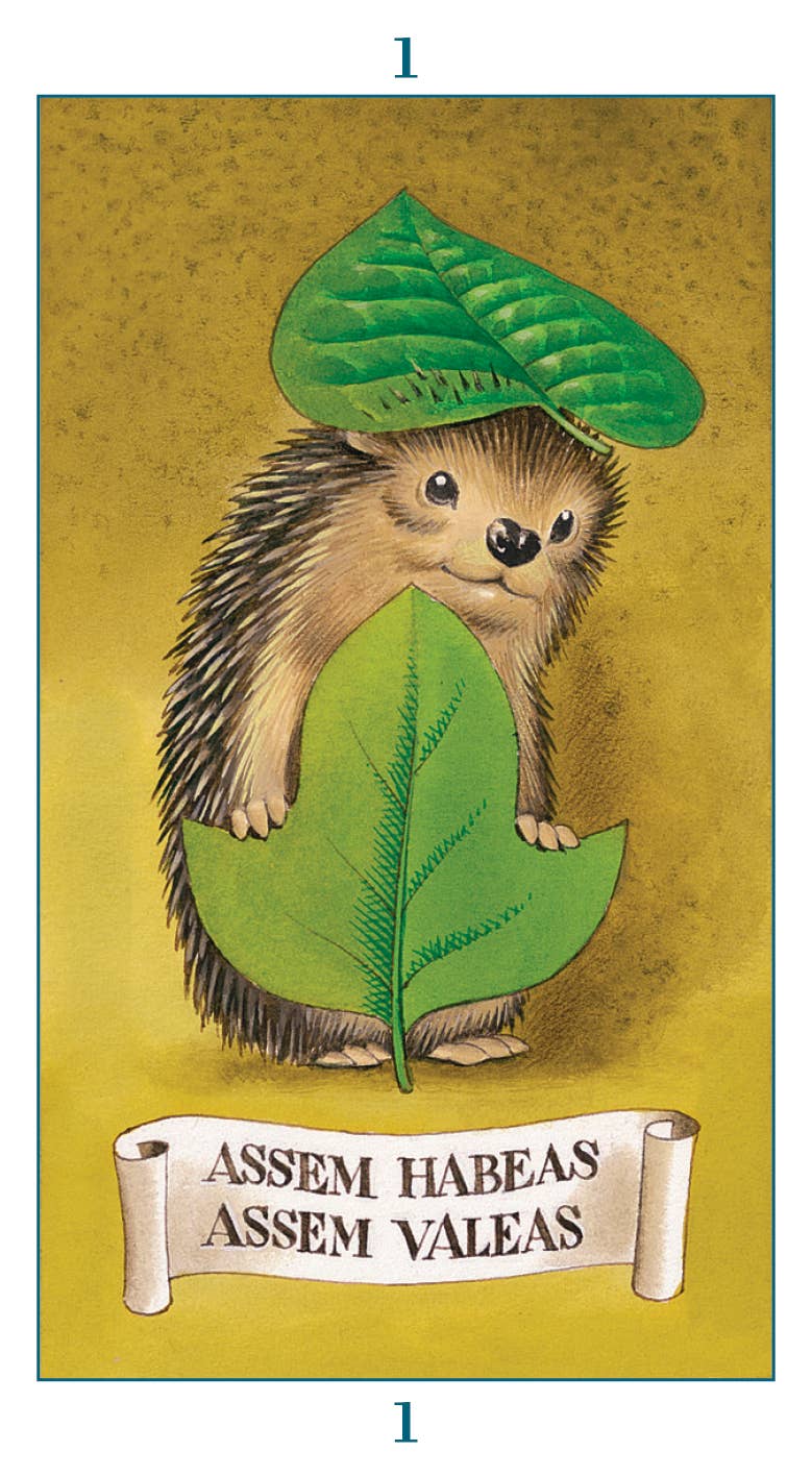 Fairy Tarot Lo Scarabeo