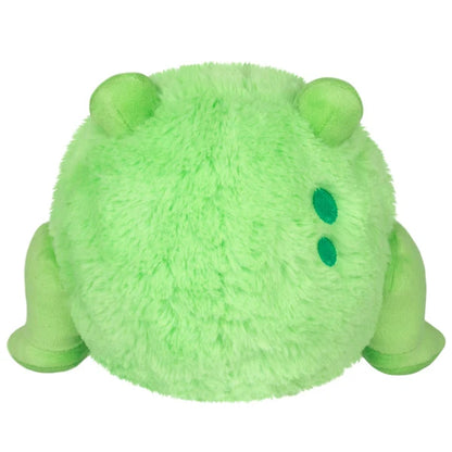 Undercover Snacker Corgi in Frog